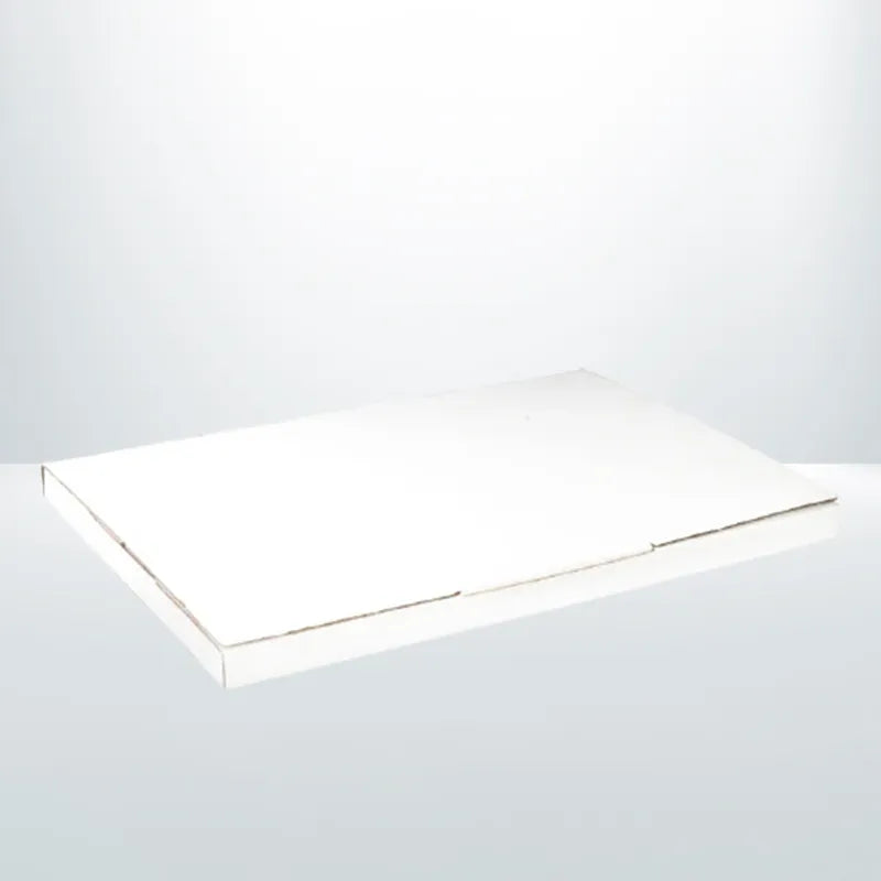 100pcs Super Flat Mailing boxes 310x220x16mm A4 B21 White Box