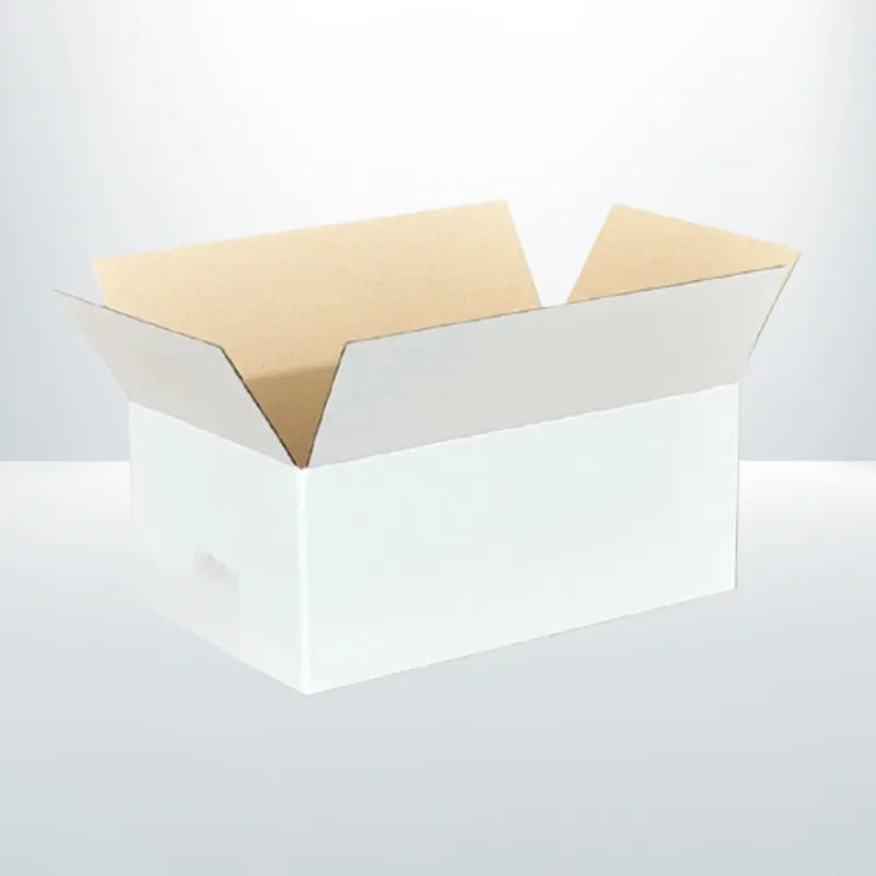 100pcs 270 x 160 x 100mm White Mailing Box RSC Carton
