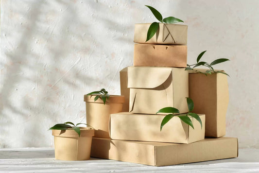Biodegradable Cardboard Boxes: The Future of Eco-Friendly Packaging