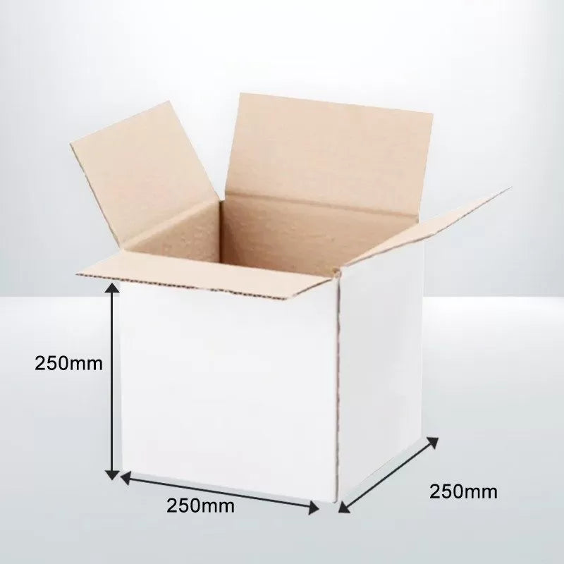 50Pcs 250 x 250 x 250mm Cube White Mailing Boxes