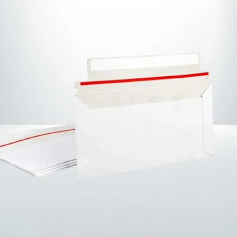 500pcs White DL Size 110x220mm 300 GSM | Card Mailer Envelopes