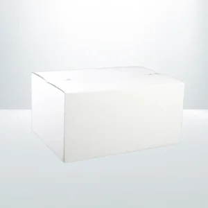 Mailing Box White